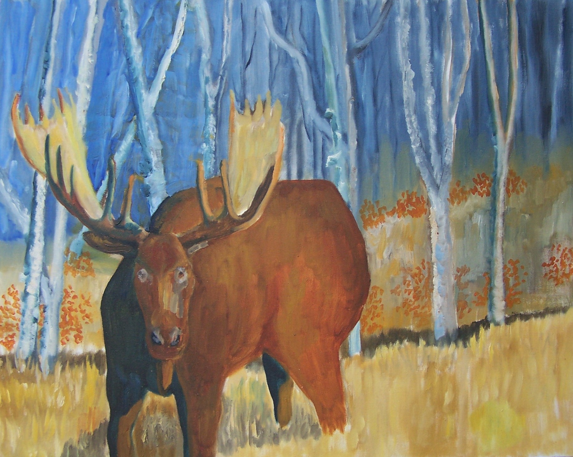 bull.moose-oil-30x24-1200.jpg