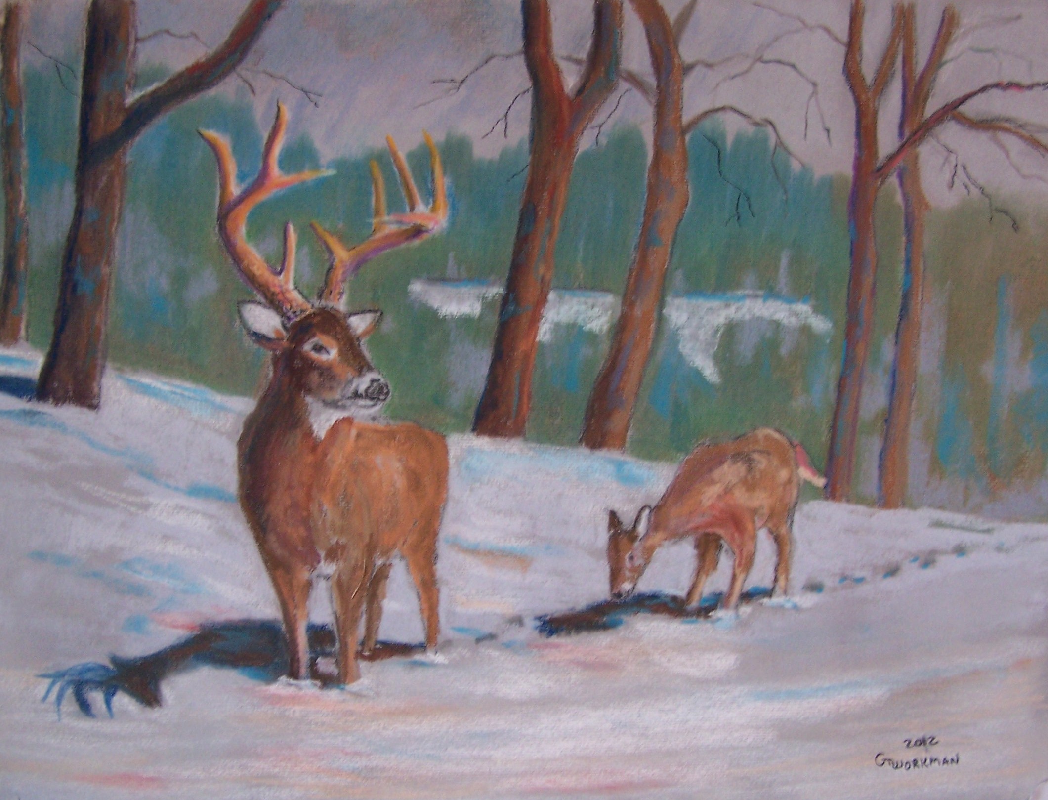 open.day.buck.and.doe-pastel-24x18-600.jpg